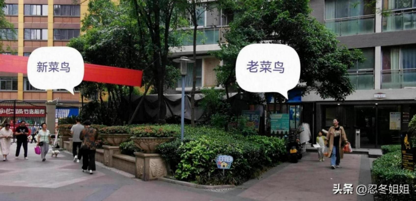 菜鳥驛站,一個大門開兩家,神仙打架。