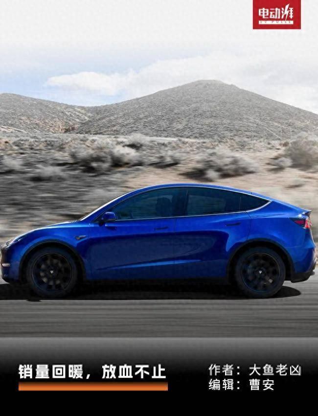 新勢(shì)力放血賣車,特斯拉再裁員,市場(chǎng)真在復(fù)蘇?