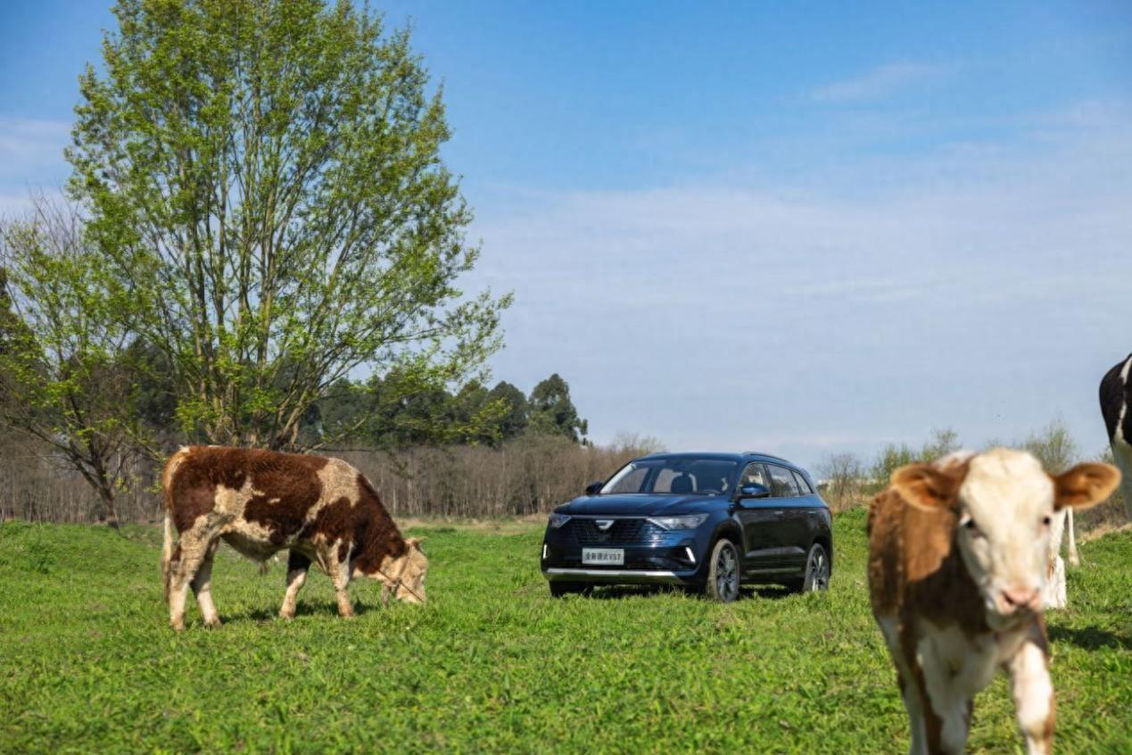 實測:捷達VS7 vs 日產逍客誰更強勢?