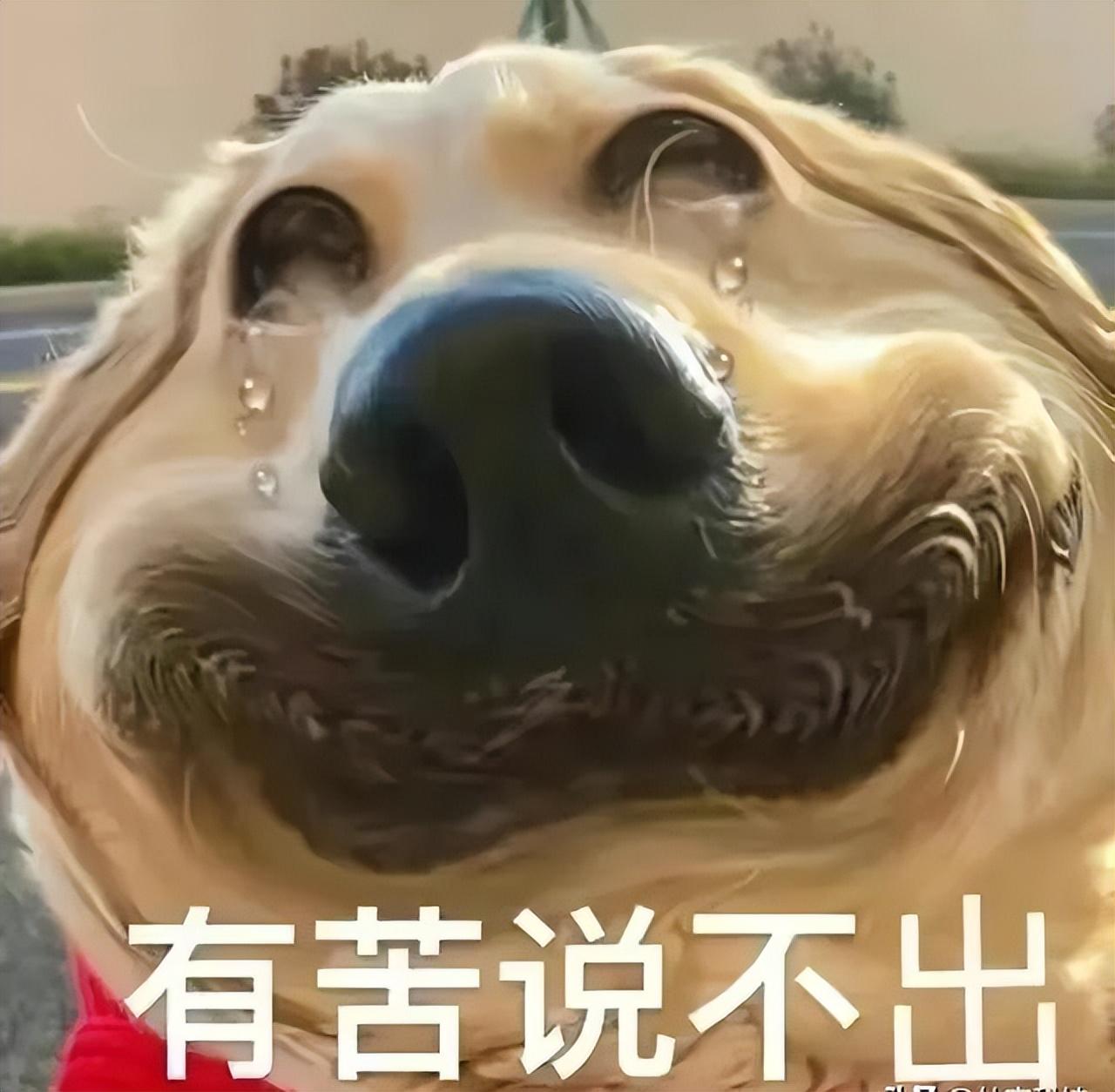 比亞迪突曝大消息:我不裝了,我攤牌了,全球車企這次誰也別跑