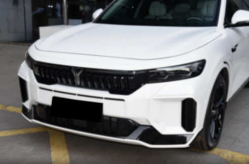 入門純電續航318km,20多萬買中大型SUV,嵐圖FREE 318該怎么選?