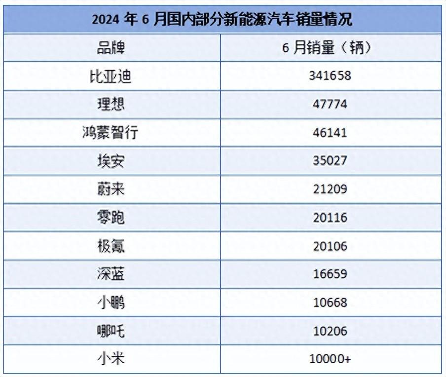 6月“成績(jī)單”出爐 用銷量告訴你該選什么新能源品牌