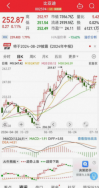 比亞迪72億砸向土耳其,王傳福這是要鬧哪出?