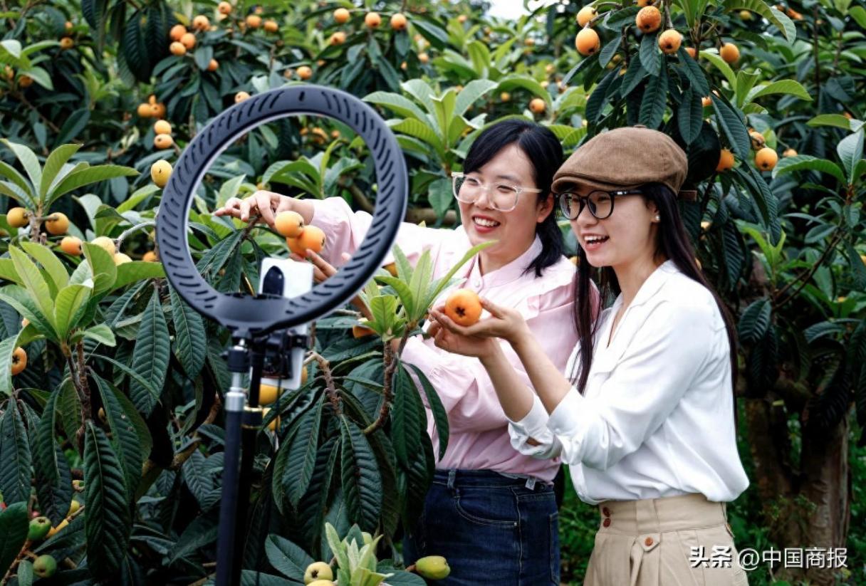價格打下來、服務(wù)升上去!電商行業(yè)角逐“性價比”與“質(zhì)價比”