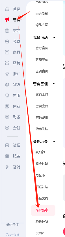 【淘寶店鋪運營必看】提升點擊與轉化的六大標簽設置秘籍!