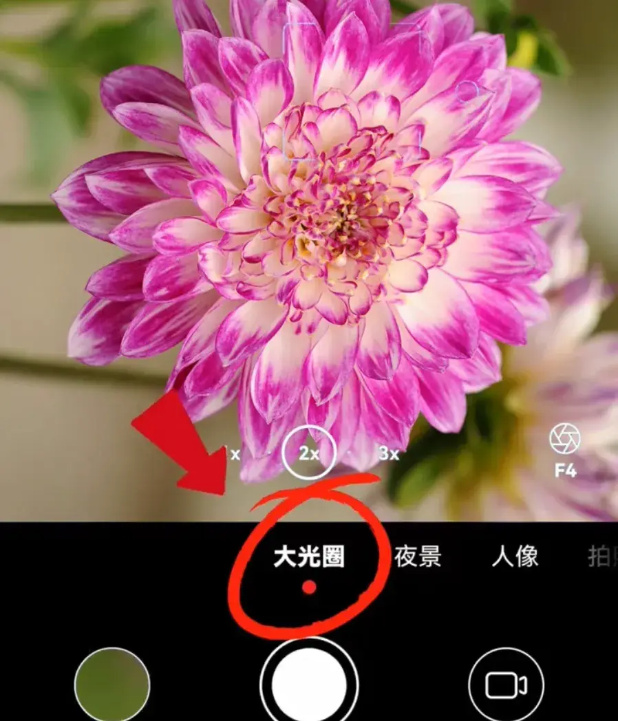 不會吧不會吧?現在還有人不知道華為手機的相機功能怎么用吧?